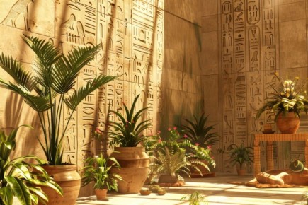 ������� ��������: ��� ��������� �������� ����� ������ ����� �����