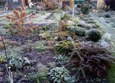 Осенние заботы на дачном участке: что успеть до зимы