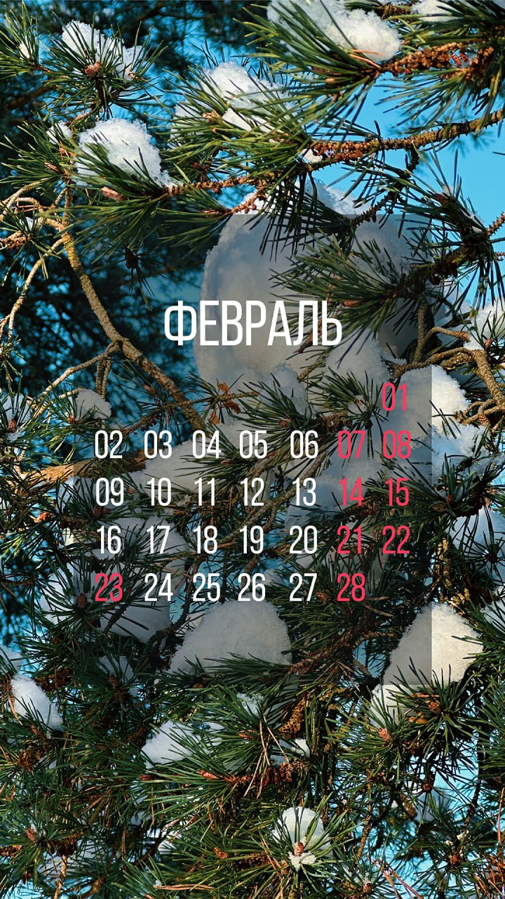 Пусть последний месяц зимы украсит экран телефона Пусть последний месяц зимы украсит экран телефона