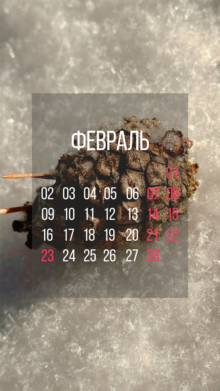 Пусть последний месяц зимы украсит экран телефона Пусть последний месяц зимы украсит экран телефона