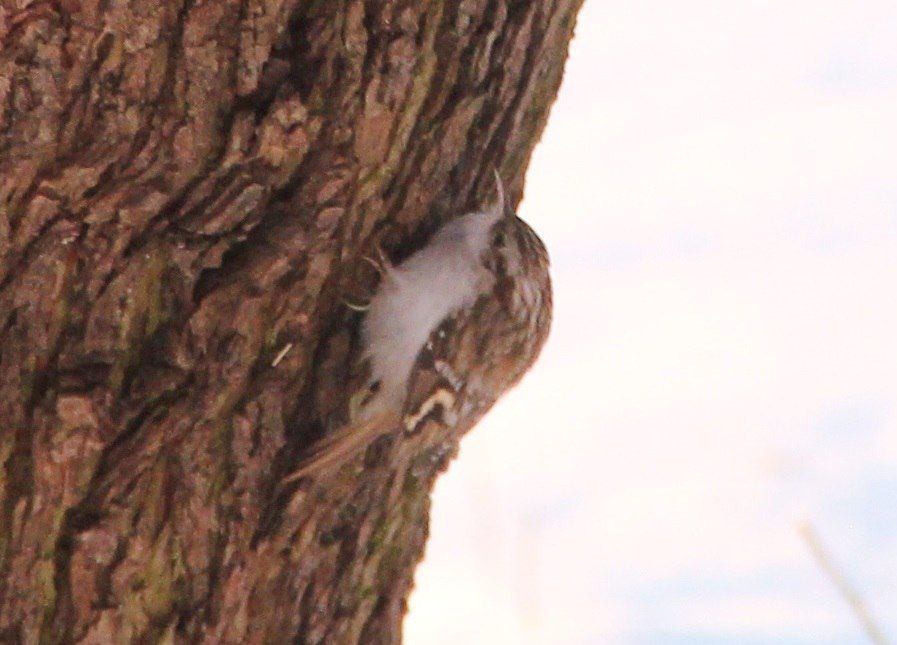 ������ ����������, ����� ����-������ �� ��������� � ���� ��������� ���������!