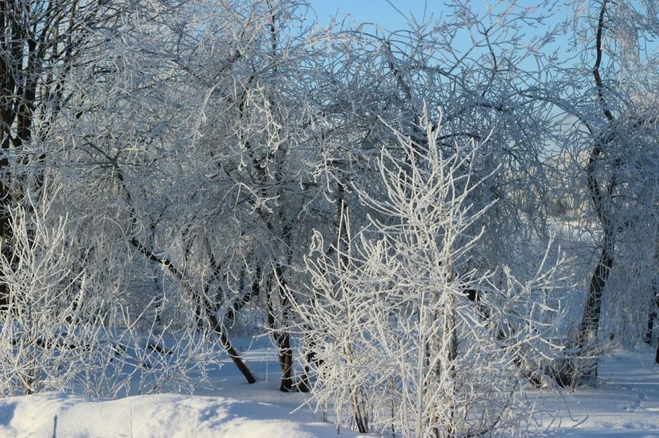 � ������������ ������� ����� ������� ����������� ������