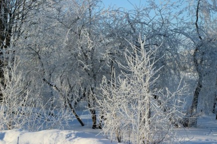 � ������������ ������� ����� ������� ����������� ������