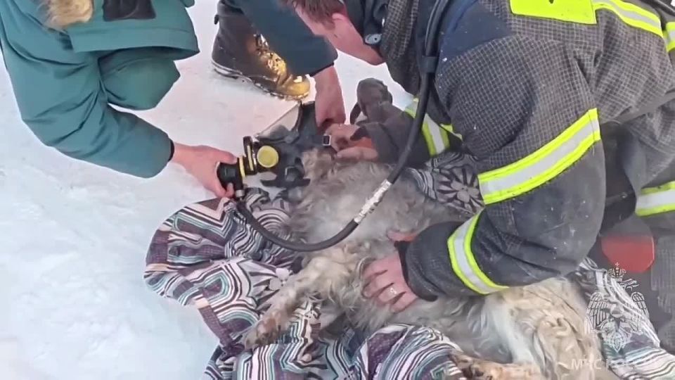 �� ������� �������� � ��������� �������� ������ ������ ������� � ���� ������