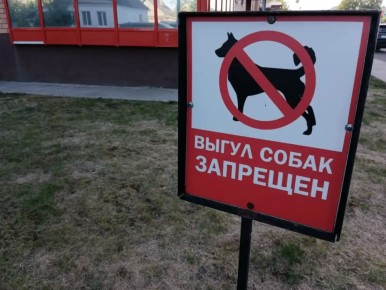 ������� ������ � ���������� ������ ������� �� ��������� � ��� �� ����� ����