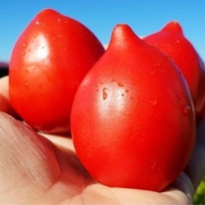 ����� ����� ������: ��� ��������� ������� ����� ��� ����� ����