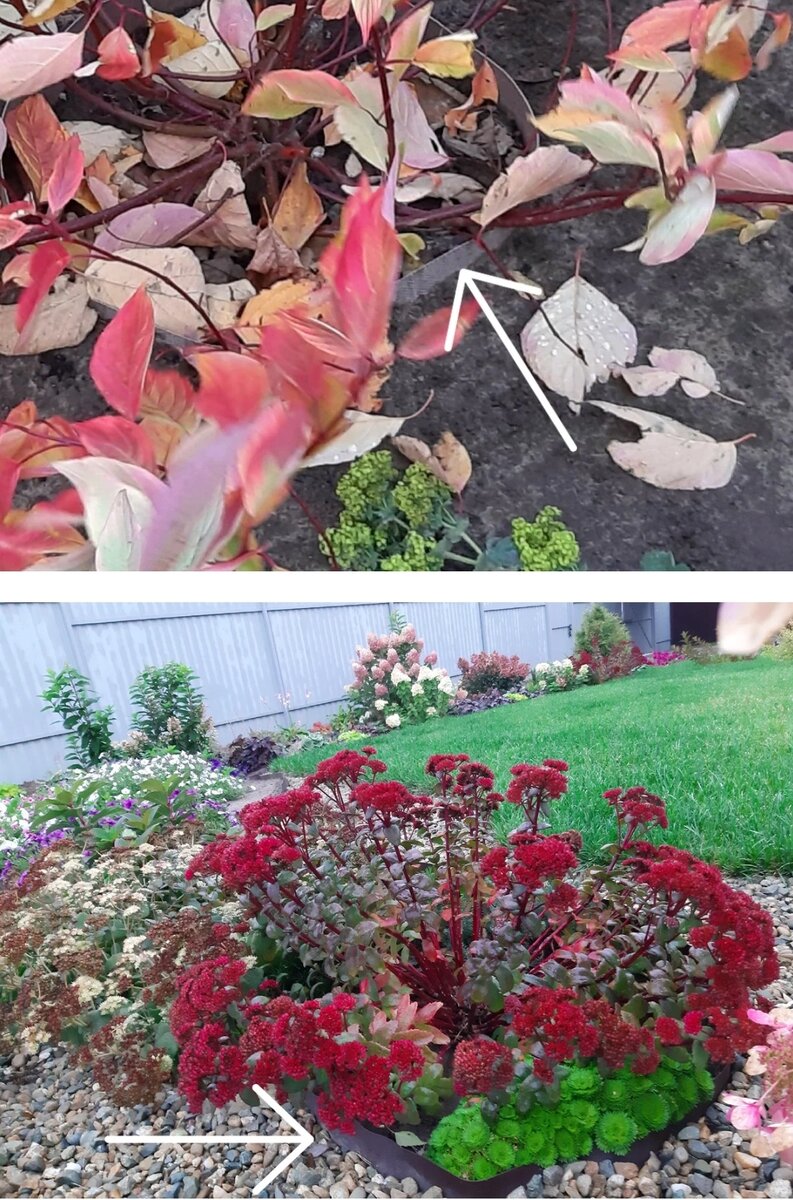 Как сократить расходы на удобрения и воду в саду?