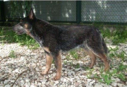 � ������������ ������� ������������ ���� � ��������� ������� ���� ����� ������