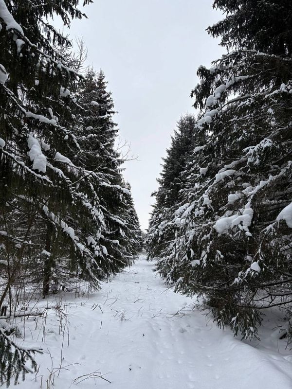 � ������������ ������� �������� ���������� � ������ ������������������