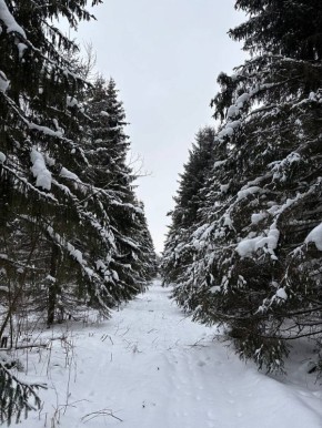 � ������������ ������� �������� ���������� � ������ ������������������