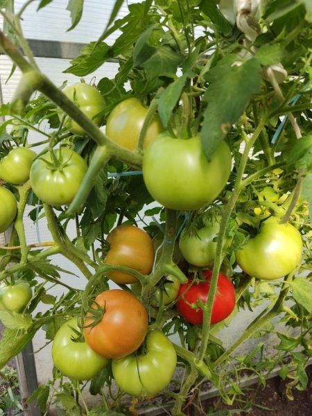 ����� ������ �������: ��������� ���� ��� �������� � ������ ������� � ��������� �����