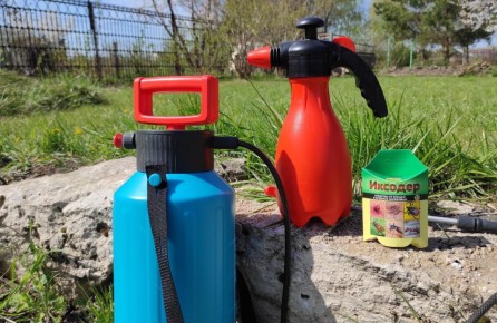 ����� �������� �������� � ����� ������ �� �������� �� �������