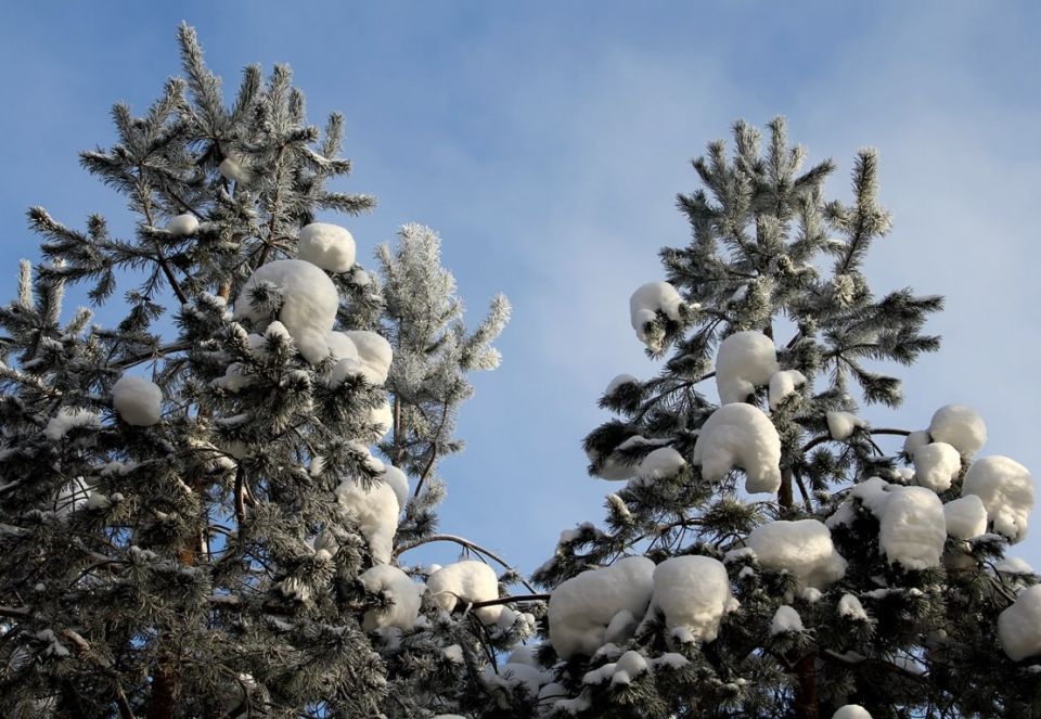 ��, ����� ������� �������! �������, ����� �� ���������, �� ��� ������ ������ ������������!