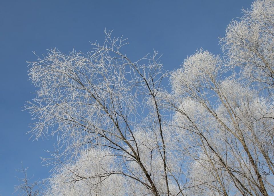 ��, ����� ������� �������! �������, ����� �� ���������, �� ��� ������ ������ ������������!