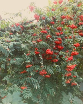 ����� ������: ��� ������� ��� ��� � ����� ����� ������