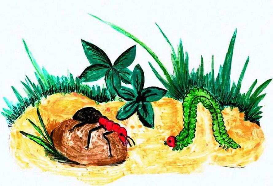 ���������� ��������� ������� ���� �������� ������� ������