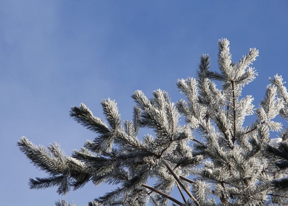 ��, ����� ������� �������! �������, ����� �� ���������, �� ��� ������ ������ ������������!