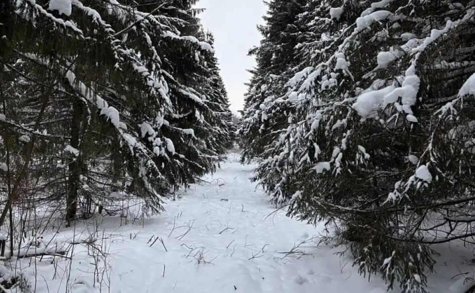 ������������� ��� �������� ������������ ���� � ������������ �������