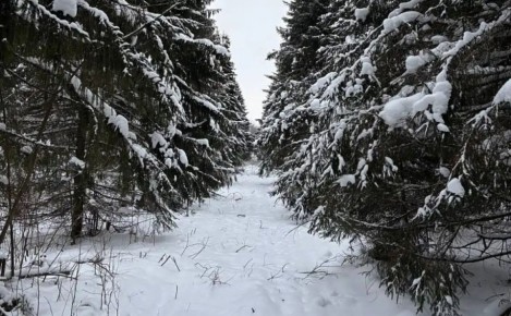 ������������� ��� �������� ������������ ���� � ������������ �������