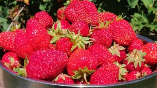 ��� ��������� ��������� ��������: ������� �������� ���������