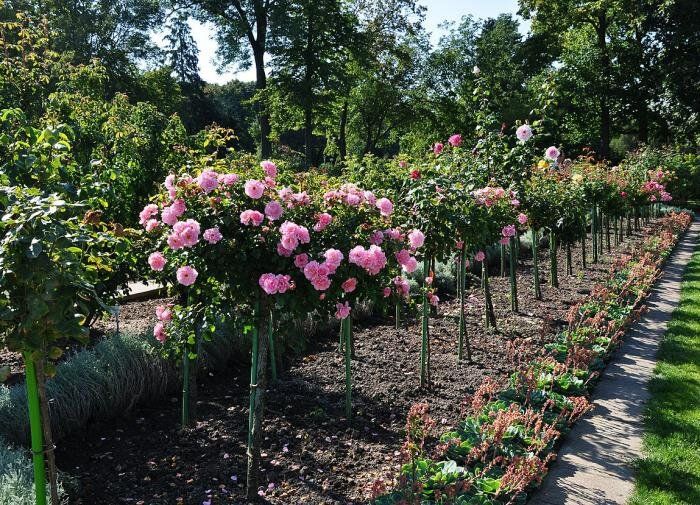 ��������� ��������� �������� ��������: �������� ������ � ������������