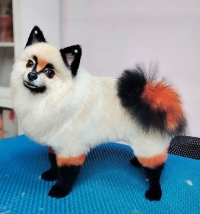 ���� � ������ ���������� ������ ����� ��������� �� ������ �������� ���������