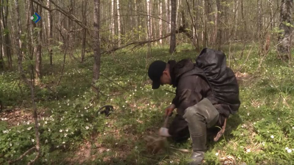 �� ���������� ������� ����� ����� � ������������ �����������