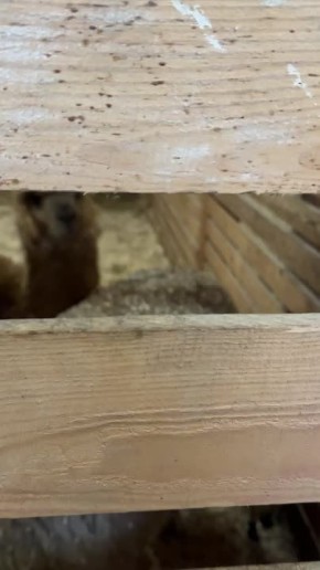 � �������� �������� �������� �������������� ������� �������