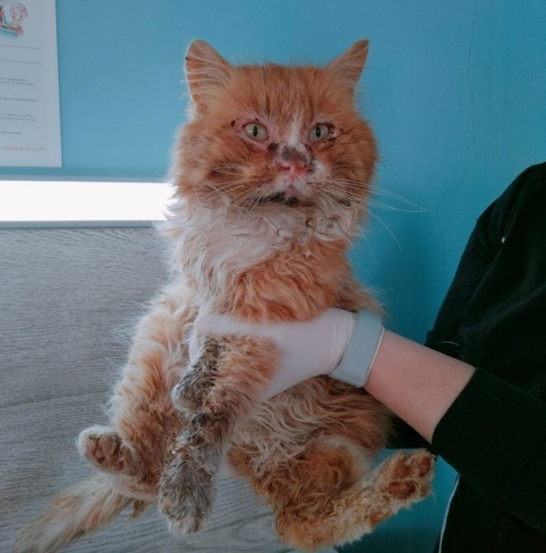 � ������������ ������� ������������� ���� ������ ����� ��������������� ������