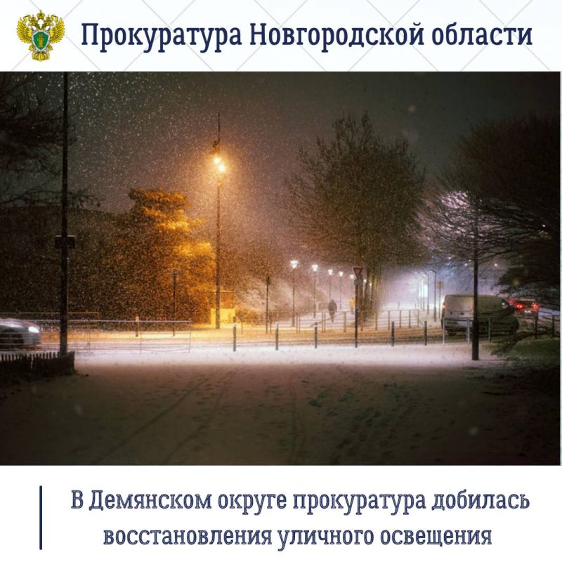 Прокуратура Демянского района по обращению местного жителя провела проверку соблюдения законодательства об организации уличного освещения