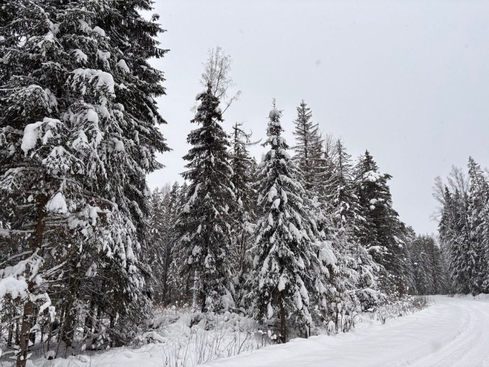 � ������ ���������� �������� ����� �� ����� �������������� � ������� ����