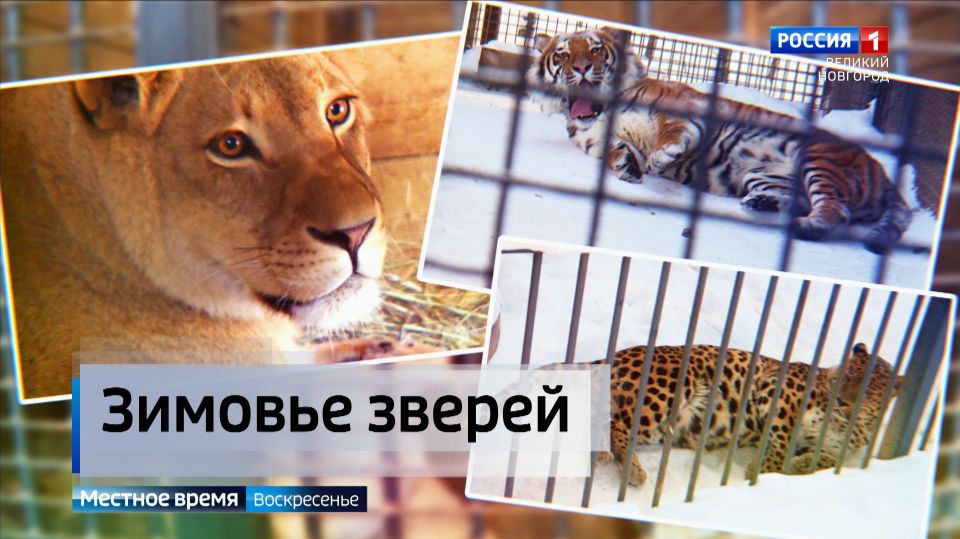 ������������ ������ ���������� �� ��������� ����������� ����� � ���������� ��������