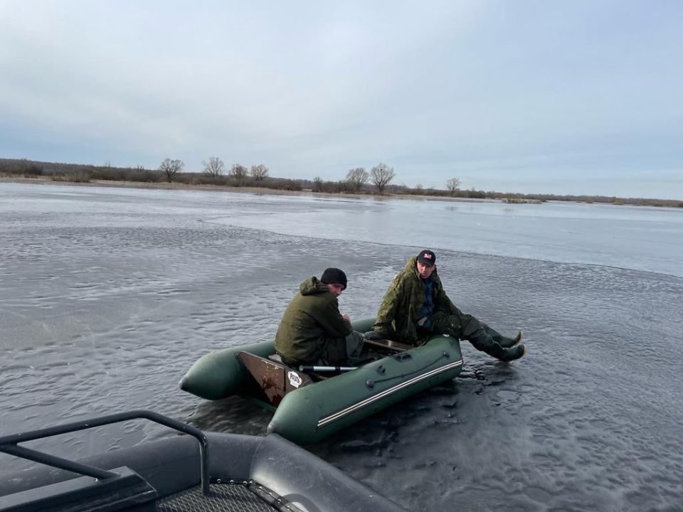 ����������� ��������� ������� ������������ �� ������ �������