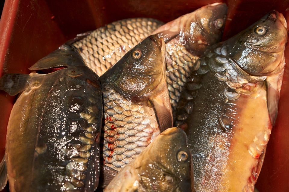 ����� ��������, ����� ���� ���� ���������� � ������������ ����������