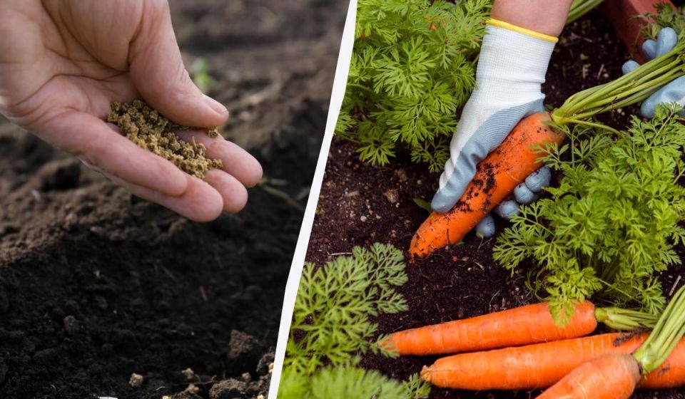 ��������� ������� ���������� � ������� ��������� � ���������� �������