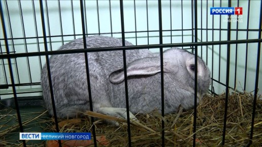 ������-��������������� �������� ����� ����� ��� ������� ������������ ���� �������� ������