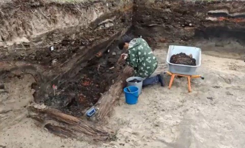 ���������� ������� ����� � ������ ������