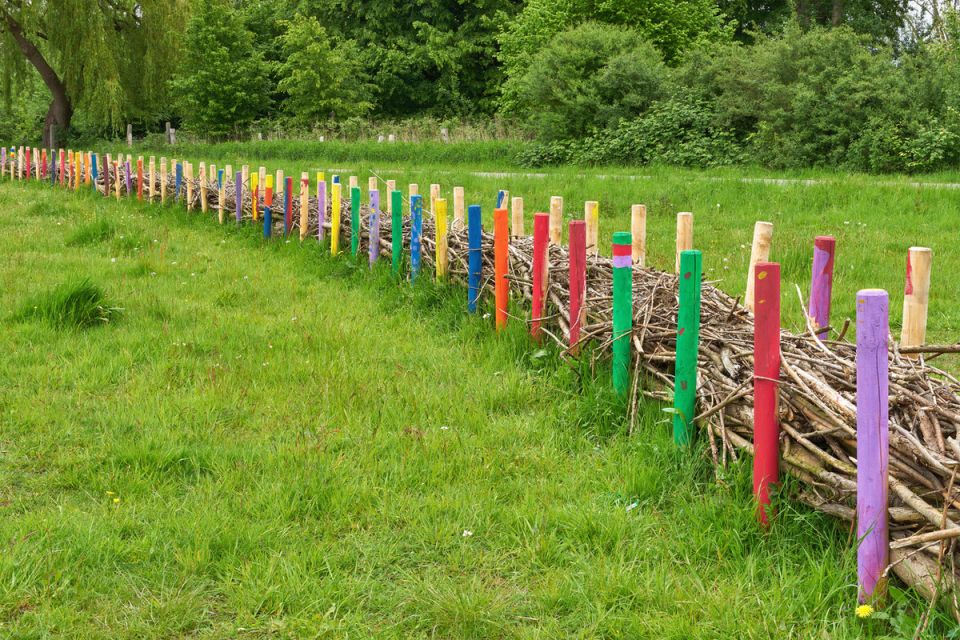 ��� ������� ���������� ����� �� �����: ���� � ������