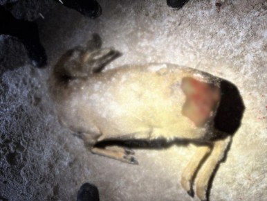 �������� � ���������� ����������� � ���������� ����� �� ������ � ������� ������