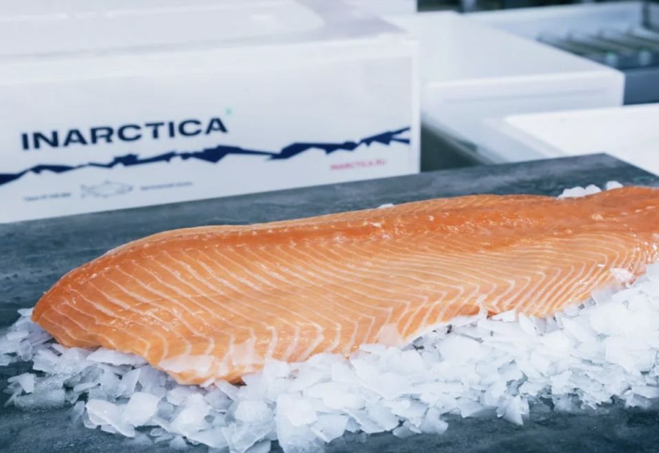 ������ �������� �������� ������ �����: ������ � ������ �������� "���������"