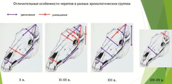 ������� ������ ��������, ��� ��������� � ������� ��������� � ��������