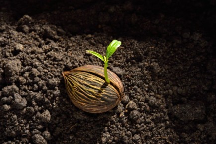 ��������� ������: ��� ���������� �� ������������� � �������� �������