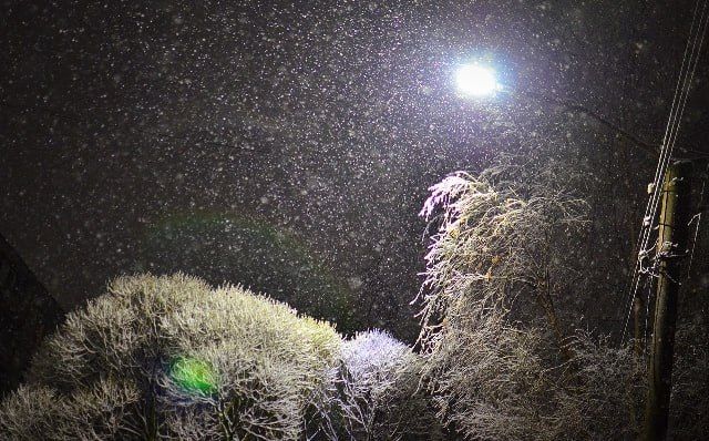 В Новгородскую область придёт настоящая февральская погода