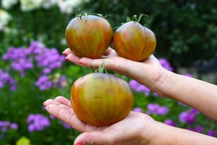 ����� ������� ���������� ������: ������� ����� ��������� ����� ��� ����