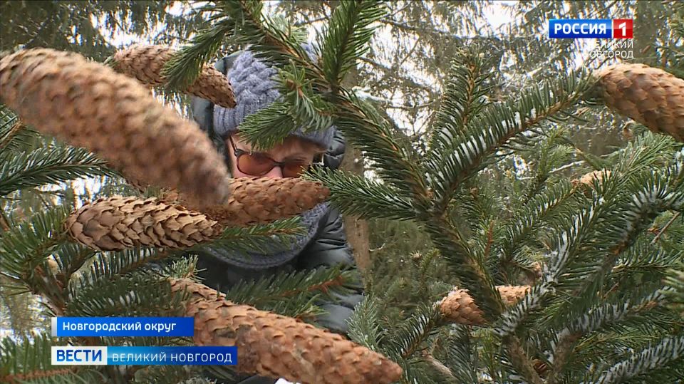 � ������������ ������� ������������� �������� � ������ �����, ���� � ������� 40 ����