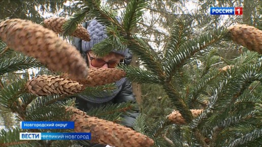 � ������������ ������� ������������� �������� � ������ �����, ���� � ������� 40 ����