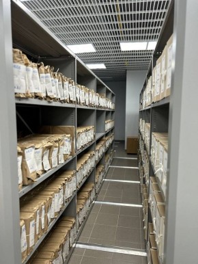 �������� ������������ ������� ���������� �������������� ���������� ���������