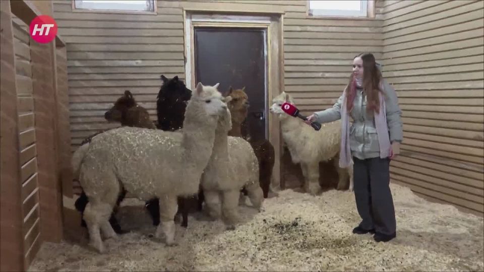 ������������� �� ������ �������� ���������� � ��������� � �������� ��������