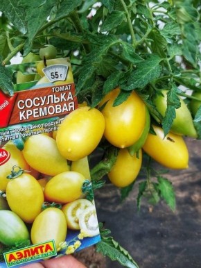 Томат Сосулька кремовая: уникальный сорт для вашего огорода