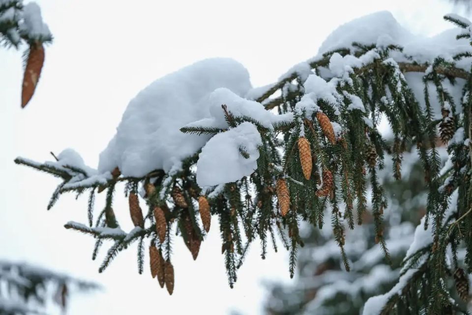 ���������� ������� ���� ����� ������������� ����